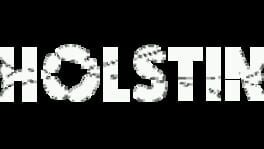 Holstin artwork 3