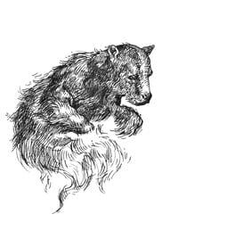 Grapple Bear artwork 1