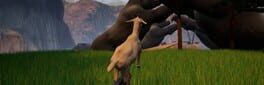 Unicycle Sheep artwork 1