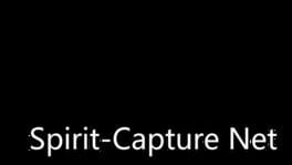 Spirit-Capture Net artwork 2