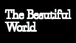 The Beautiful World artwork 2