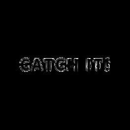 Catch It artwork 2