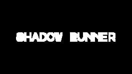 Shadow Runner artwork 2