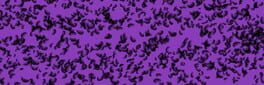 Eggplant artwork 1