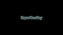 SuperCowBoy artwork 2