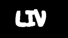 Liv artwork 2