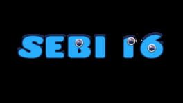 Sebi 16 artwork 2
