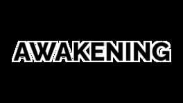 Awakening artwork 2