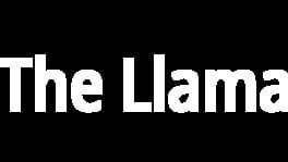 The Llama artwork 2
