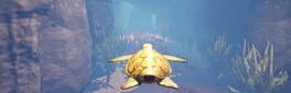 Turtle Racer artwork 1