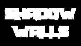 Shadow Walls artwork 1