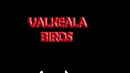 Valkeala Birds artwork 2