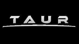 Taur artwork 1