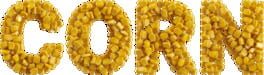 Corn artwork 1