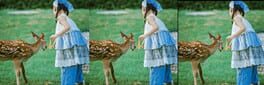 Deer artwork 1