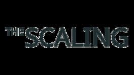 The Scaling artwork 2