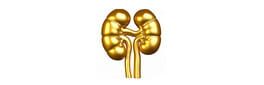 Kidney Stone Clicker artwork 1