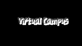 Virtual Campus artwork 2
