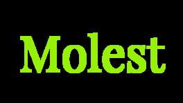 Molest artwork 2