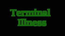 Terminal Illness artwork 2