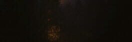Untold Cases: Stillwater Lake artwork 1