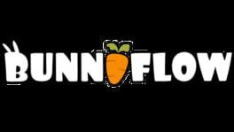 BunnyFlow artwork 2