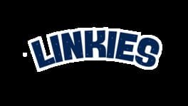 Linkies artwork 2