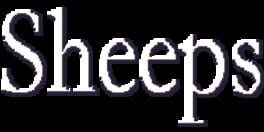 Sheeps artwork 2