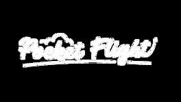 Pocket Flight artwork 2
