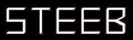 Steeb artwork 2