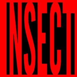 Insect artwork 2