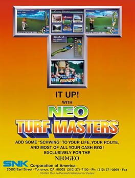 Neo Turf Masters artwork 8