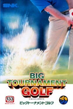 Neo Turf Masters artwork 6