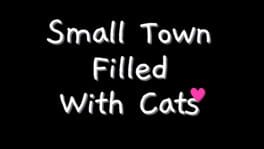 Small Town Filled With Cats artwork 1