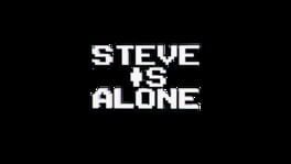 Steve Is Alone artwork 2