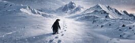 Lonely Penguin artwork 1