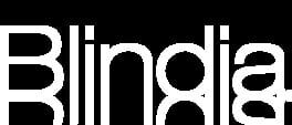 Blindia artwork 1