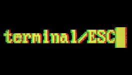 Terminal ESC artwork 5