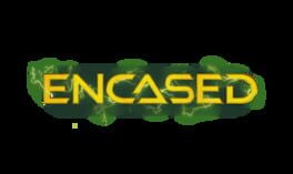 Encased artwork 4