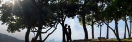 Tree's Love Crossing Above artwork 1