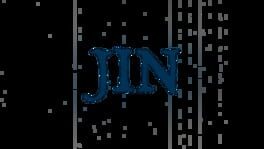 Jin artwork 2