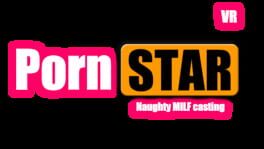 Porn Star Fake Interview artwork 2
