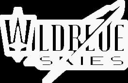 Wild Blue Skies artwork 2