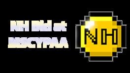 NH Bid at MSCYPAA: The Game artwork 2