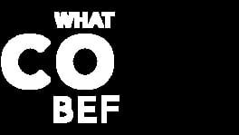 What Has Come Before artwork 2