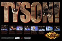 Mike Tyson Boxing artwork 5