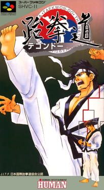 Taekwon-do artwork 3