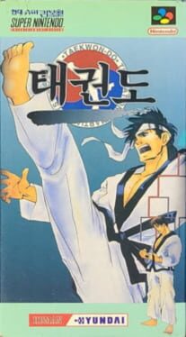 Taekwon-do artwork 4