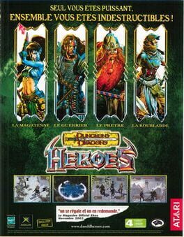 Dungeons & Dragons: Heroes artwork 3