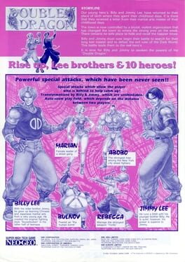 Double Dragon artwork 9